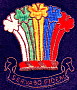 Old Boy Badge